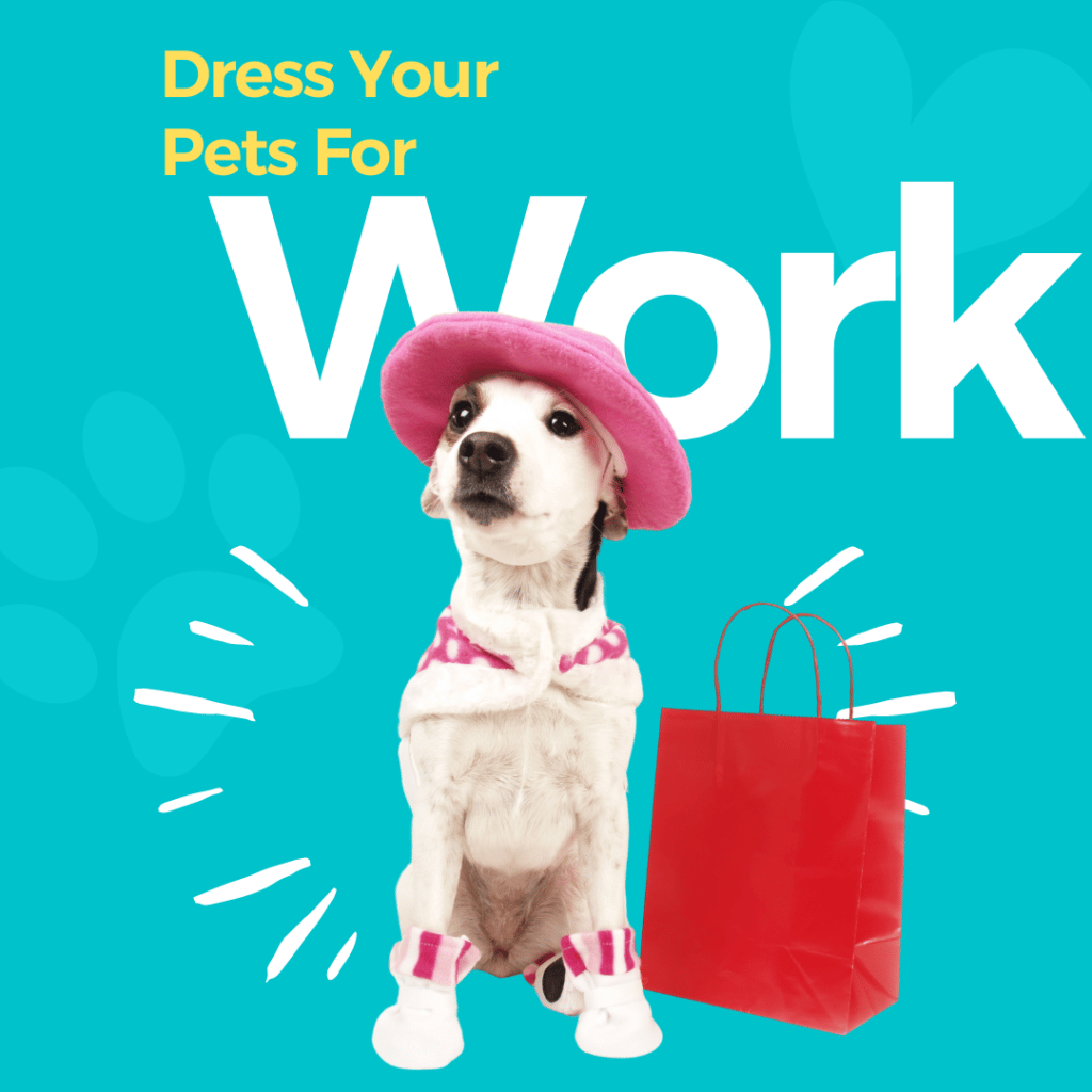 #National Dress Up Your Pet Day