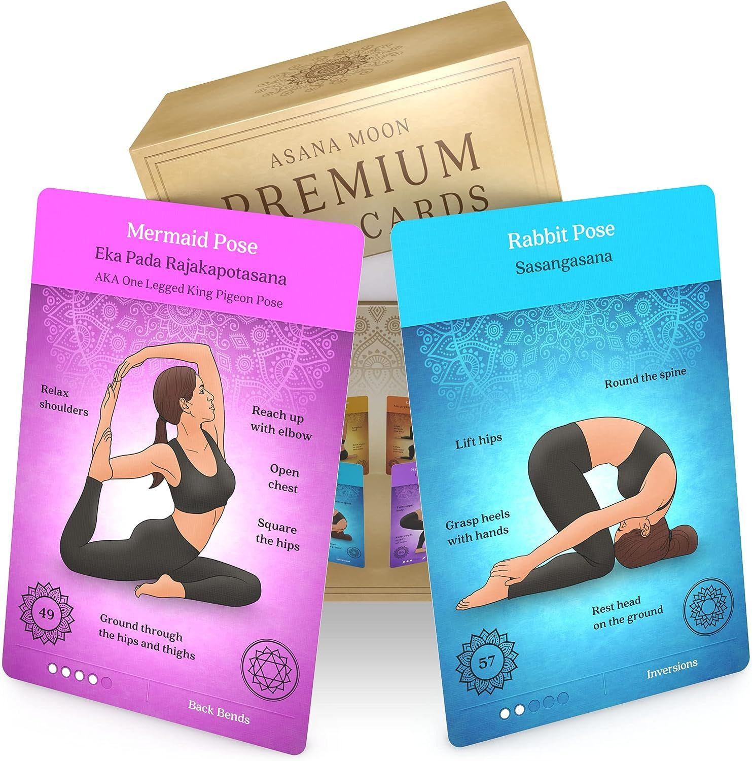 Premium Yoga Cards by Asana Moon – Deck with Over 120 Poses – Large