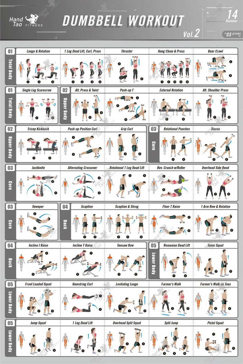 Dumbbell Workout Exercise Poster BodyBuilding Guide Fitness Gym Chart paintings canvas Prints Wall Art For Home Decor